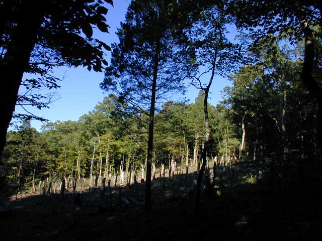 DSCN0917