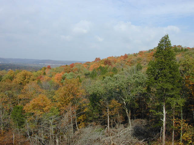 DSCN3633