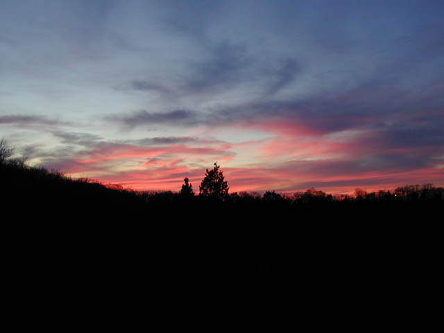 DSCN3874