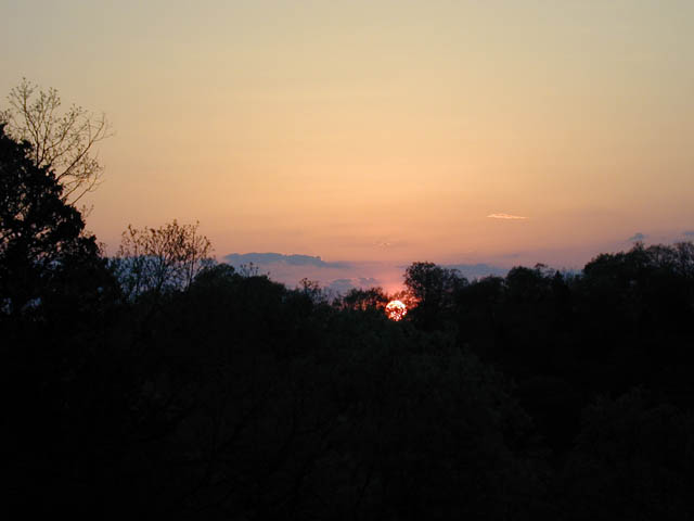 DSCN4130