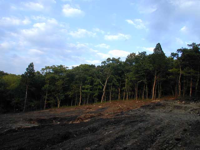 DSCN0923