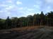 DSCN0923