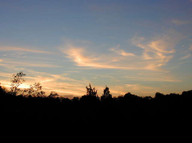 DSCN1204
