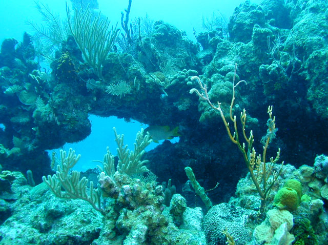 DSCN0317