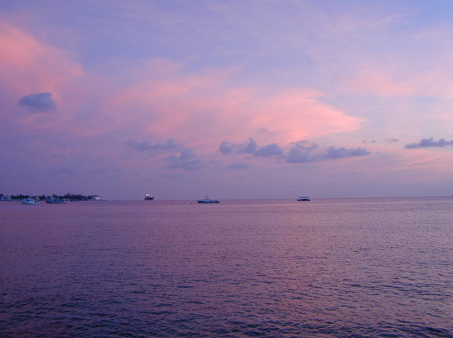 DSCN0714