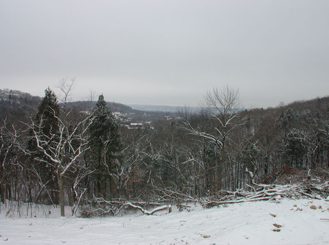 DSCN1605