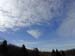 DSCN1529